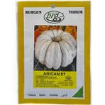 Burgen Tohum 10 gr BT Arıcan 97 Kabak Tohumu