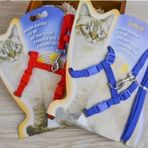 Büro Ev Evcil Hayvanı için Kedi Gezdirme Tasması
