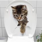 Büro Ev Klozeti için 3D Kedi Espirili Kapak içi Stickeri
