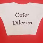 Büro Ev Ofis Hediyesi için Özür Dilerim Tişörtlü Ayıcık Peluş Oyuncak