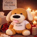 Büro Ev Ofis Hediyesi için Özür Dilerim Tişörtlü Peluş Oyuncak Köpekcik