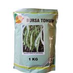 Bursa Tohum 1 kg Balkız Fasulye Tohumu