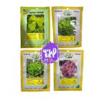 Bursa Tohumculuk 4'Lü Tohum Seti ( Semizotu-Kışlık Kıvırcık-Arapsaçı Marul -Kırmızı Marul) 10 Gr Paketler