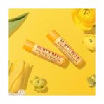 Burt's Bees Beeswax Dudak Bakım Kremi - Nane Ferahlığı - standart