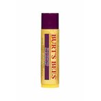 Burt’s Bees 4.25 gr Acai Meyve Özlü Dudak Bakım Kremi