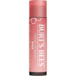 Burt's Bees 4.25 gr Rose Kırmızı Dudak Bakım Balsamı