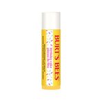 Burts Bees Birthday Cake Blister Dudak Bakım Kremi