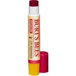 Burt's Bees Burt s Bees Lip Shimmer 4.25 g