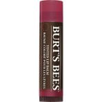 Burt's Bees Daisy 4.25 gr Dudak Balmı