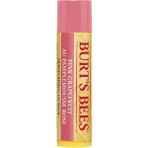 Burt's Bees Pink Grapefurt 4.25 g Dudak Balmı