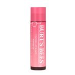 Burts Bees Tinted Hibiscus Gül Kurusu Renkli Dudak Bakım Kremi