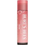 Burt's Bees Tinted Rose Renkli Dudak Bakım Kremi 4,25 gr Doğal Formül ile Nemlendirici ve Yumuşatıcı