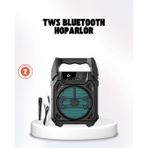 Butik Bfs Taşınabilir 6.5” Bluetooth Hoparlör USB Tf Kart Mikrofonlu Şarjlı Sistem