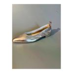 Butik nb001 Noble Shoes Hakiki Deri Gümüş Sivri Kadın Babet