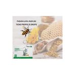 Butik TIENS Propolis Içeren Pastil Takviye Edici