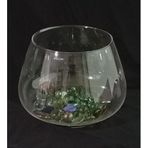 Büyük Boy Balık Akvaryumu Cam Fanus Vazo Olarak ideal Çap:25cm Yükseklik:19cm Ağız Genişliği:18cm