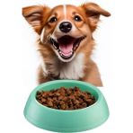 Büyük Boy Mama Kabı Su Kabı Evcil Hayvan Kedi Köpek Mama Kabı Çok Renkli 21cm Çap 1440 (Turkuaz)