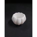 Büyük Kabak Saksı 8,5x5cm