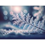 Büyüleyici Buz Kristalleriyle Arka Plan, 200X150CM, Stüdyo Fonu - -