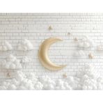 Büyülü Gece Manzarası: Arka Plan, 200X150CM, Stüdyo Fonu - -