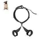 BWLEANSY Köpek eklem bandajı, köpek diz bandajı, köpek dirsek bandajı, ayarlanabilir köpek kalça bandajı, köpek bacağı için arka bacak bandajı, iltihap ağrıları, eklem gerginliği, ağrı azaltma (M)