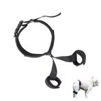 BWLEANSY Köpek eklem bandajı, köpek diz bandajı, köpek dirsek bandajı, ayarlanabilir köpek kalça bandajı, köpek bacağı için arka bacak bandajı, iltihap ağrıları, eklem gerginliği ve ağrı azaltma (S)