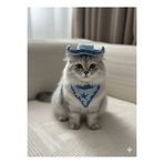 By Fii Home tasma seti kedi şapkası kedi taşması