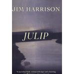 By Harrison, Jim Julip: A Novel Paperback - October 2008