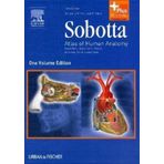 By Reinhard Putz: Sobotta - Atlas of Human Anatomy Single Volume Edition: Head, Neck, Upper Limb, Thorax, Abdomen, Pelvis, Lower Limb (Sobotta Atlas of Human Anatomy, 1 Vol) Fourteenth (14th) Edition
