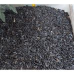 By Tuna Kuruyemiş Papağan Siyah Çekirdek Yemi Kuş Yemi 1 kg