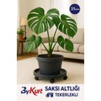 Bykurt 35 cm Tekerlekli Saksı Altlığı -Damacan ve Tüp Taşıma Altlığı - Siyah