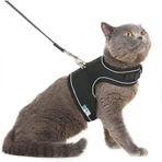 Bypet Nefes Alabilen Siyah Kedi Göğüs Tasması