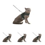BYPET Yeni Nesil Nefes Alabilen Kedi Göğüs Tasması Seti (Large, Siyah) (4 paketi)