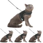 BYPET Yeni Nesil Nefes Alabilen Kedi Göğüs Tasması Seti (Small, Siyah) (4 paketi)
