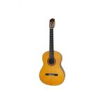 C70 Klasik Gitar