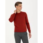 Cacharel Erkek Koyu Kiremit Slim Fit Bisiklet Yaka Triko Kazak 50270174-VR206 - 3XL
