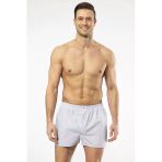 Cacharel Erkek Poplin Boxer 1113/Çizgili Açık Mavi