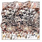 Cacharel Tivil İpek Eşarp 7420313-912 41788 Batik Desen
