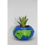 Cactus Garden Dünya Sukulent Saksı ve Canlı Bitki - 6*10