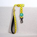 Cactus Leash Kedi Köpek Sevk & Gezdirme Kayışı Köpek Uzatma Tasması