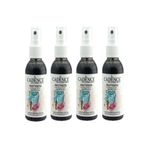 Cadence 100 ml 4'lü Siyah Sprey Kumaş Boyası