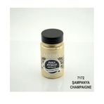 Cadence 7172 Şampanya 90 ml Dora Multisurface Boya