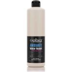 Cadence Ambiante AW 06 Dantel 500 ml Islak Zemin Boyası+20 gr Katalizor