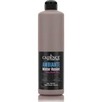 Cadence Ambiante AW 17 Vizon 500 ml Islak Zemin Boyası+20 gr Katalizor