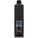 Cadence Ambiante AW24 Siyah 250 ml Islak Zemin Boyası+10 gr Katalizor