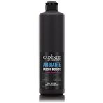 Cadence Ambiante AW24 Siyah 500 ml Islak Zemin Boyası+20 gr Katalizor