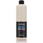 Cadence Ambiante Suya Da Lı Akrilik Boya Aw-06 Dantel 500ML + Katalizör 20GR 01 202 0006
