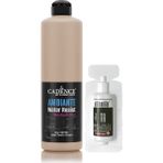 Cadence Ambiante Suya Dayanıklı Akrilik Boya Aw-16 Karton 500ML + Katalizör 20GR