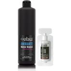 Cadence Ambiante Suya Dayanıklı Akrilik Boya Aw-24 Siyah 500ML + Katalizör 20GR