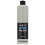 Cadence AMBIENTE SUYA DAY. AKR. BOYA AW-13 IHLAMUR 500ML + KATALİZÖR 20GR